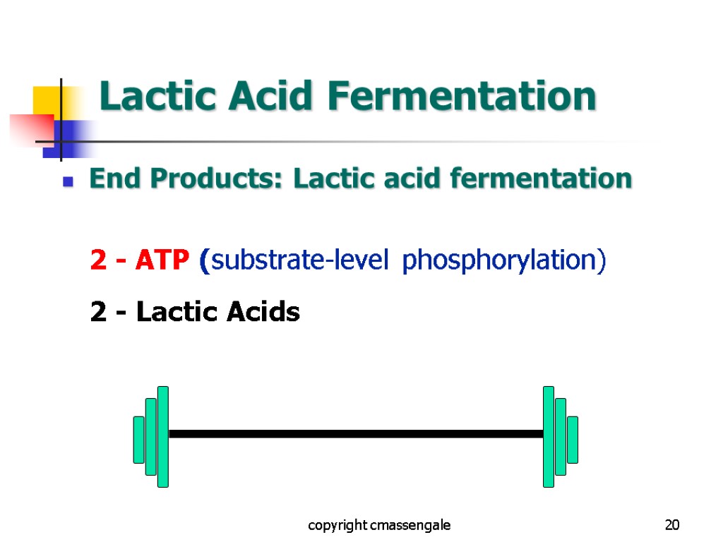 20 Lactic Acid Fermentation End Products: Lactic acid fermentation 2 - ATP (substrate-level phosphorylation)